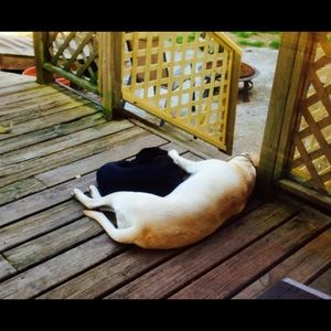 Meet your Posher, Ransom